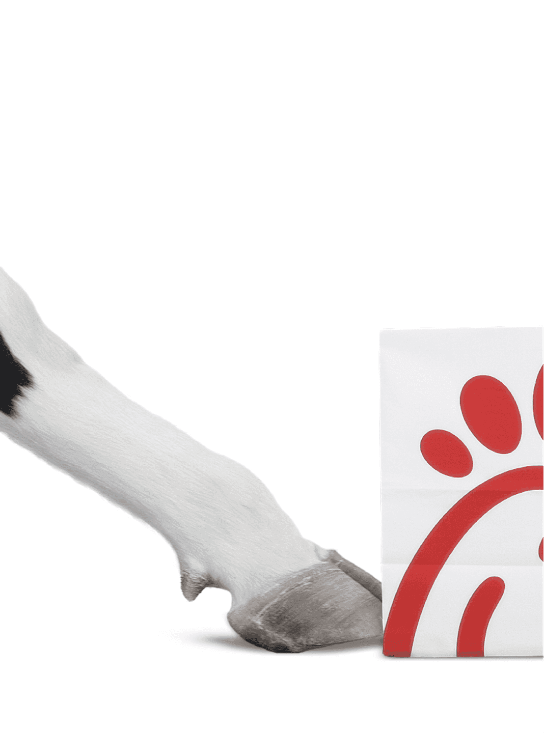 Cow Hoof Detail. A close-up of a cow’s hoof stepping next to a Chick-fil-A branded paper bag.
