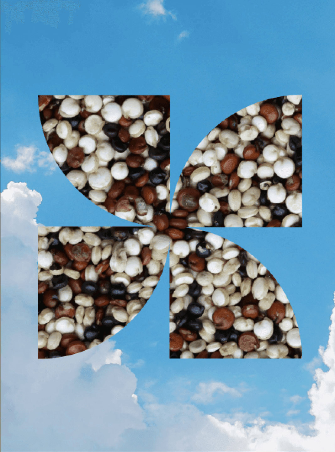 Quinoa Pinwheel Graphic. Pinwheel logo filled with multicolored quinoa grains against a blue-sky backdrop.