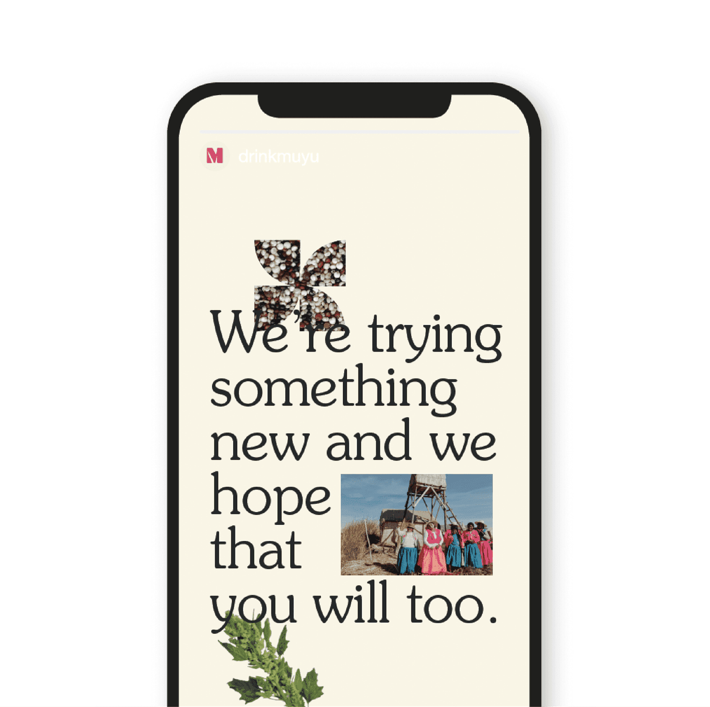 Try Something New. Social story layout with serif text, quinoa pinwheel, and a photo of a group of women in traditional dress.